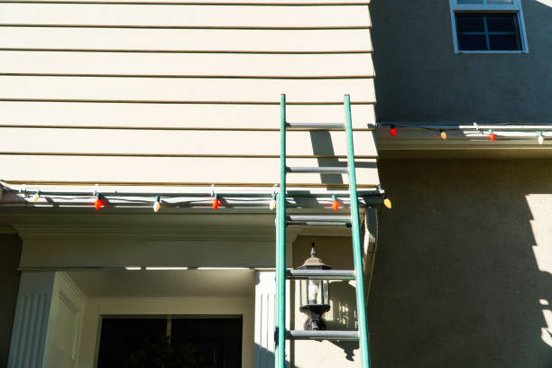 Affordable Siding Repair and Maintenance Services in Ionia, MI