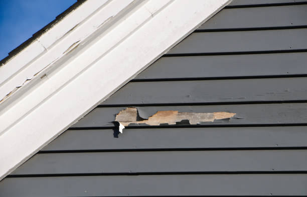 Best Storm Damage Siding Repair  in Ionia, MI